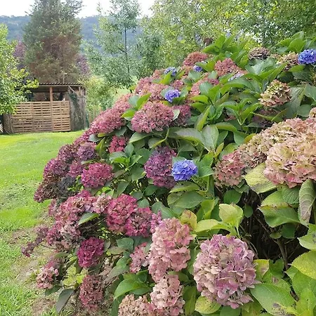 El Valle. Casa Independiente Con Jardin Privado Сasa de vacaciones *